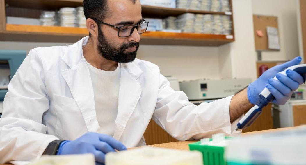 Graduate student conducting research in lab